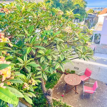 The Luzia House - 4br - Ac, Large Kitchen, Living Room, Free Parking, Gardens, Terraces, Sun Exposure Day - Coliving Pansiyon