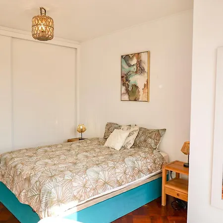 The Luzia House - 4br - Ac, Large Kitchen, Living Room, Free Parking, Gardens, Terraces, Sun Exposure Day - Coliving Homestay *