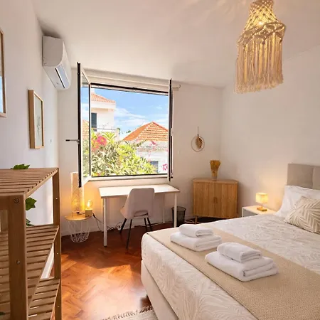 The Luzia House - 4br - Ac, Large Kitchen, Living Room, Free Parking, Gardens, Terraces, Sun Exposure Day - Coliving * Funchal