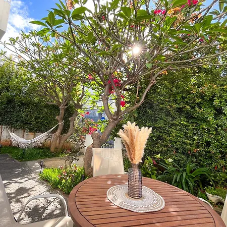 The Luzia House - 4br - Ac, Large Kitchen, Living Room, Free Parking, Gardens, Terraces, Sun Exposure Day - Coliving フンシャル