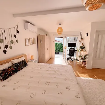 The Luzia House - 4br - Ac, Large Kitchen, Living Room, Free Parking, Gardens, Terraces, Sun Exposure Day - Coliving * Funchal