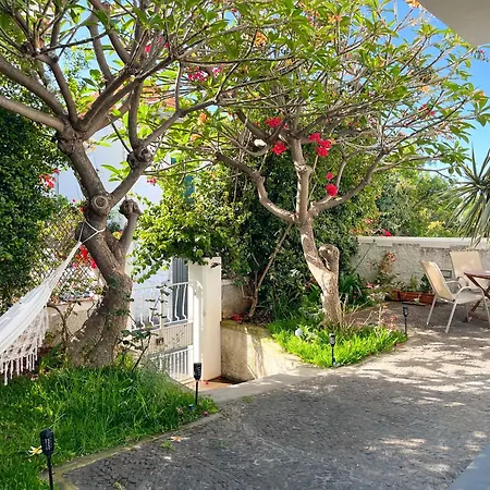 Homestay szállás The Luzia House - 4br - Ac, Large Kitchen, Living Room, Free Parking, Gardens, Terraces, Sun Exposure Day - Coliving *