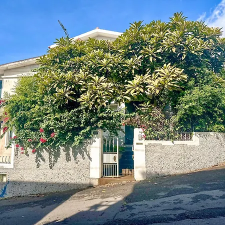 The Luzia House - 4br - Ac, Large Kitchen, Living Room, Free Parking, Gardens, Terraces, Sun Exposure Day - Coliving *