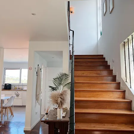 Séjour chez l'habitant The Luzia House - 4br - Ac, Large Kitchen, Living Room, Free Parking, Gardens, Terraces, Sun Exposure Day - Coliving