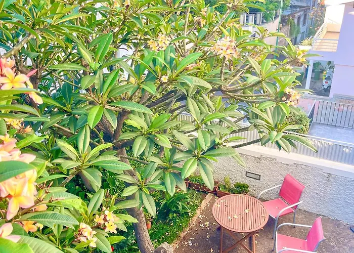 The Luzia House - 4br - Ac, Large Kitchen, Living Room, Free Parking, Gardens, Terraces, Sun Exposure Day - Coliving Δωμάτια σε οικογενειακή κατοικία