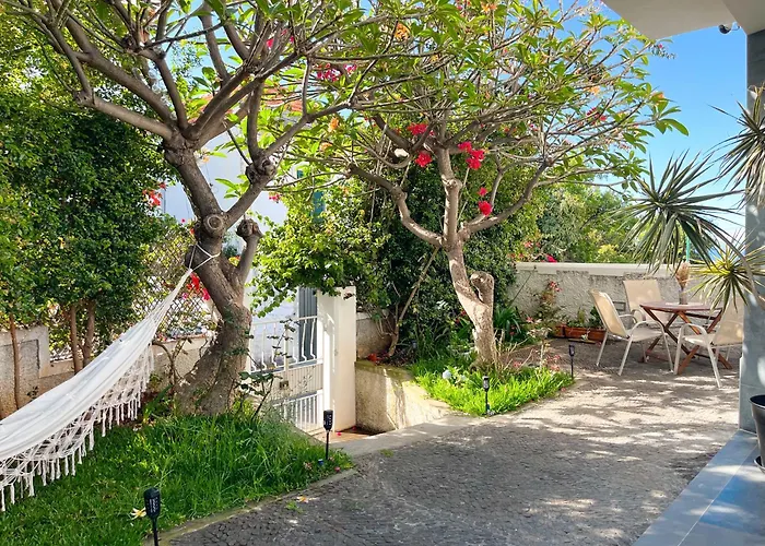 Δωμάτια σε οικογενειακή κατοικία The Luzia House - 4br - Ac, Large Kitchen, Living Room, Free Parking, Gardens, Terraces, Sun Exposure Day - Coliving *