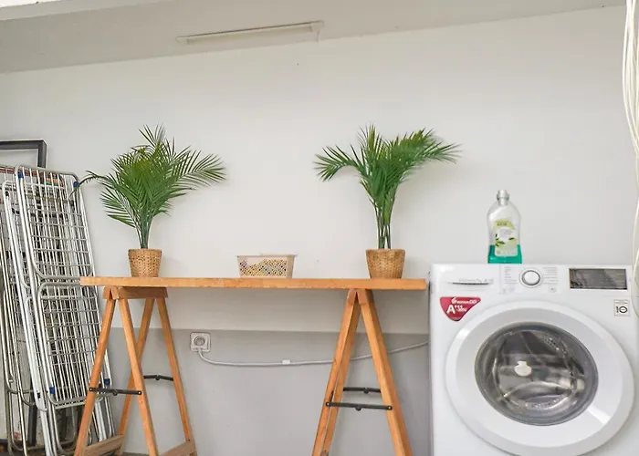 The Luzia House - 4br - Ac, Large Kitchen, Living Room, Free Parking, Gardens, Terraces, Sun Exposure Day - Coliving * 丰沙尔