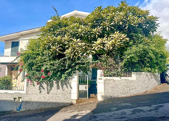 The Luzia House - 4br - Ac, Large Kitchen, Living Room, Free Parking, Gardens, Terraces, Sun Exposure Day - Coliving *