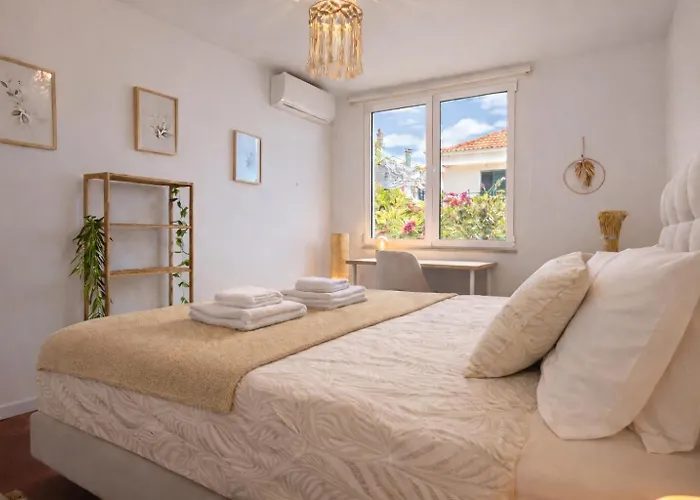 The Luzia House - 4br - Ac, Large Kitchen, Living Room, Free Parking, Gardens, Terraces, Sun Exposure Day - Coliving 民宿 丰沙尔